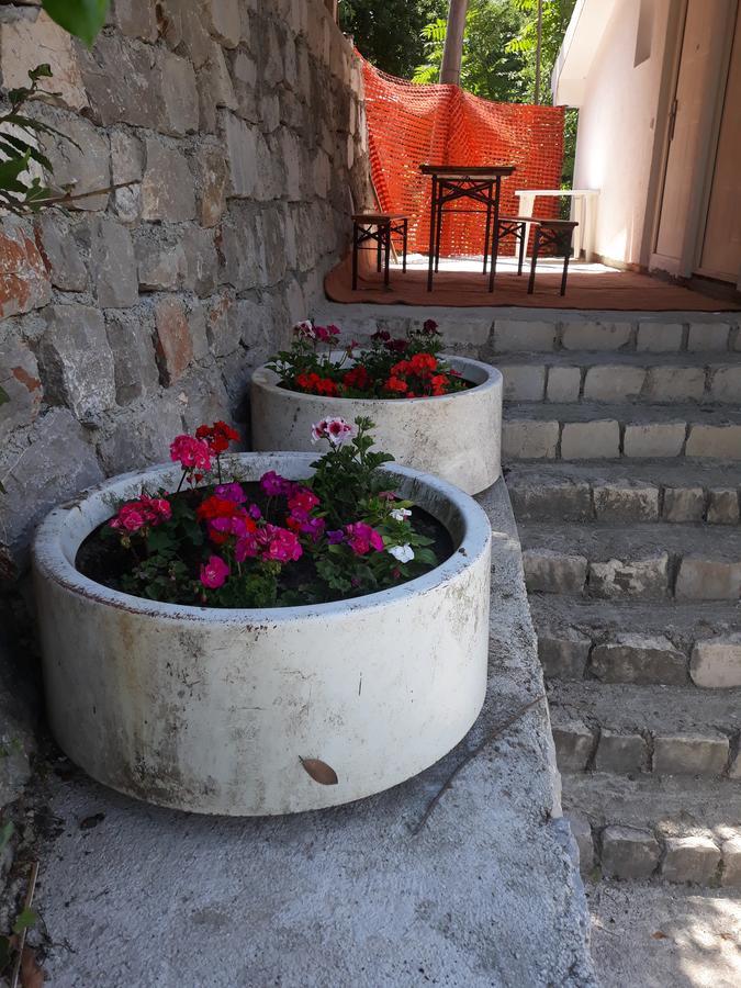 Apartmani Viza Рисан Екстериор снимка